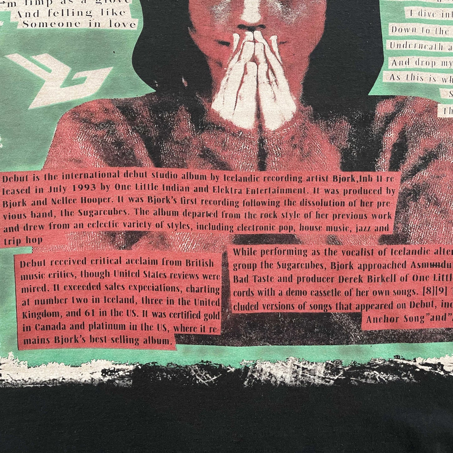 Bjork T-Shirt