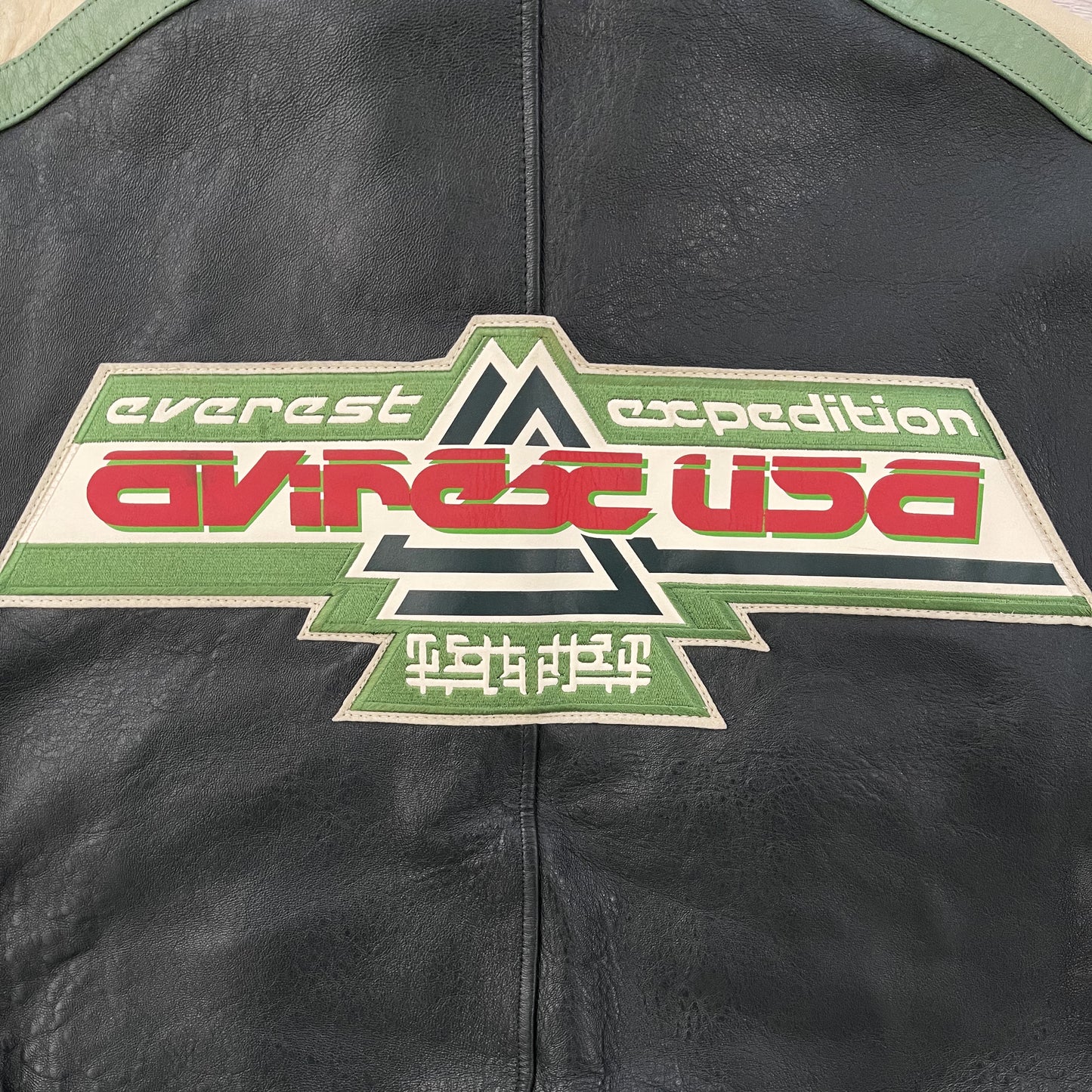 Avirex Leather Varsity Jacket