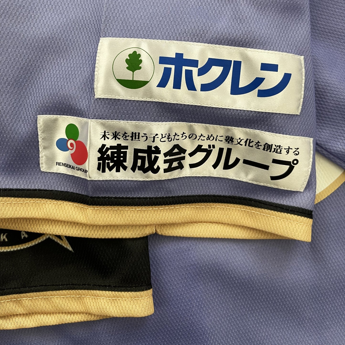 Japanese Baseball Jersey Hokkaido Fighters