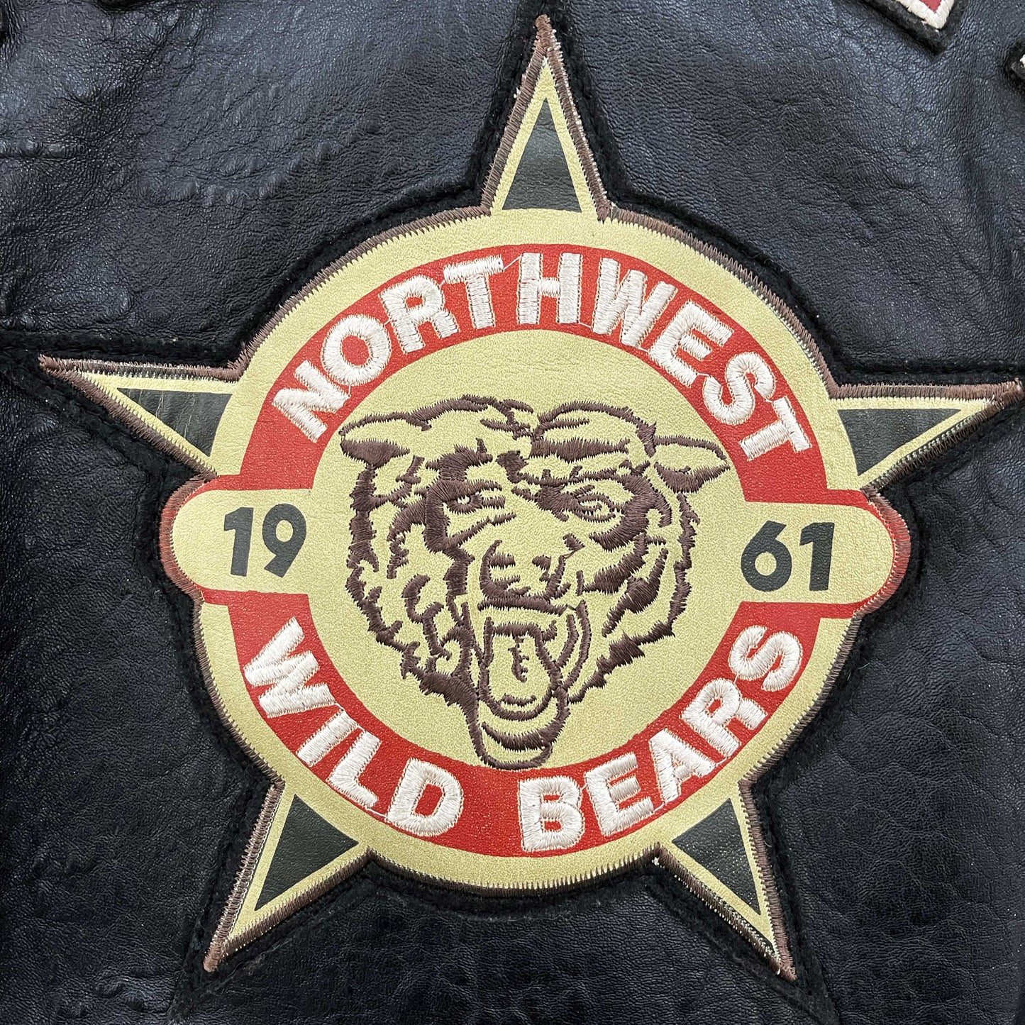 Avirex Wildbears Leather Varsity Jacket 