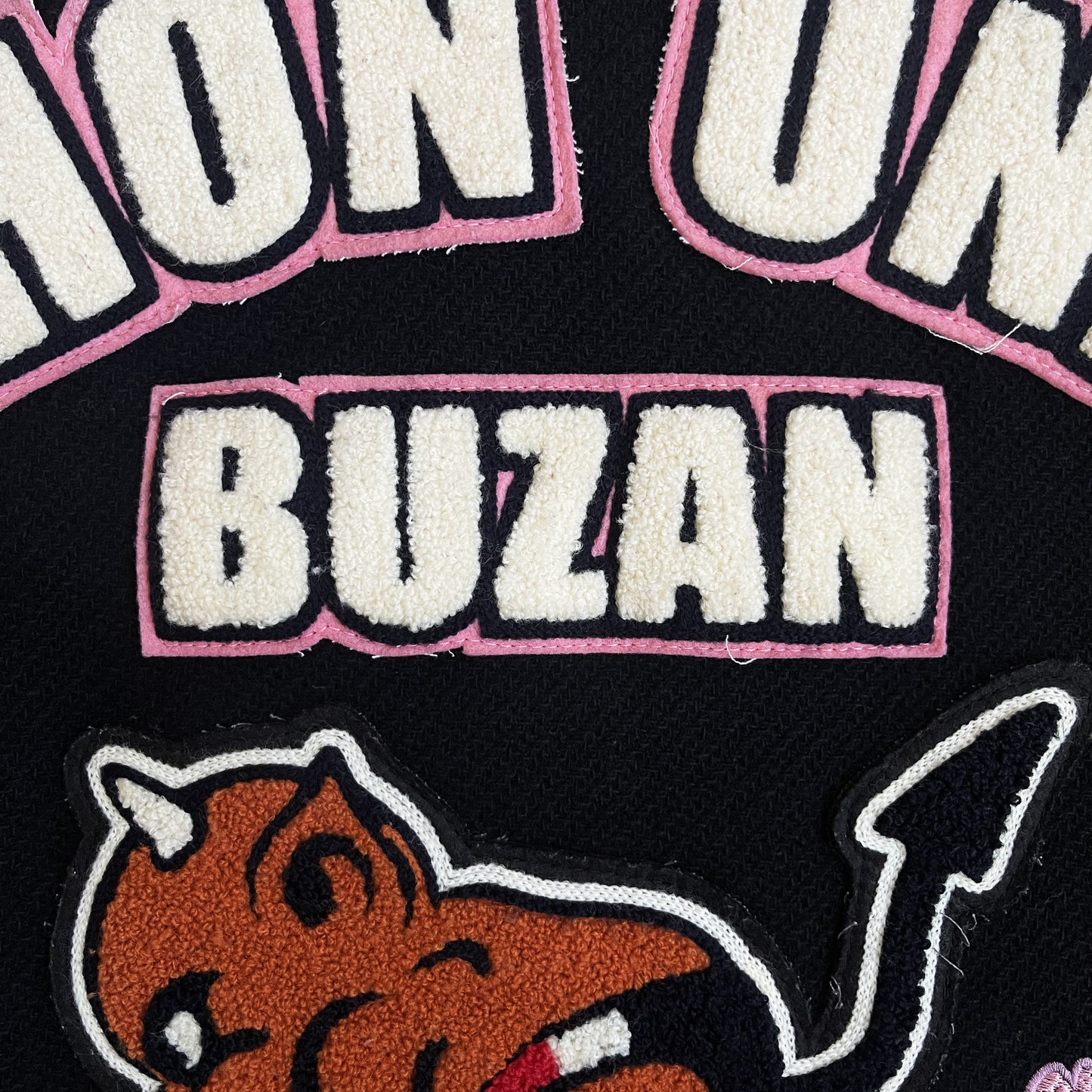 Tedman's 'Nihon Swimming Team' Varsity Jacket - XL