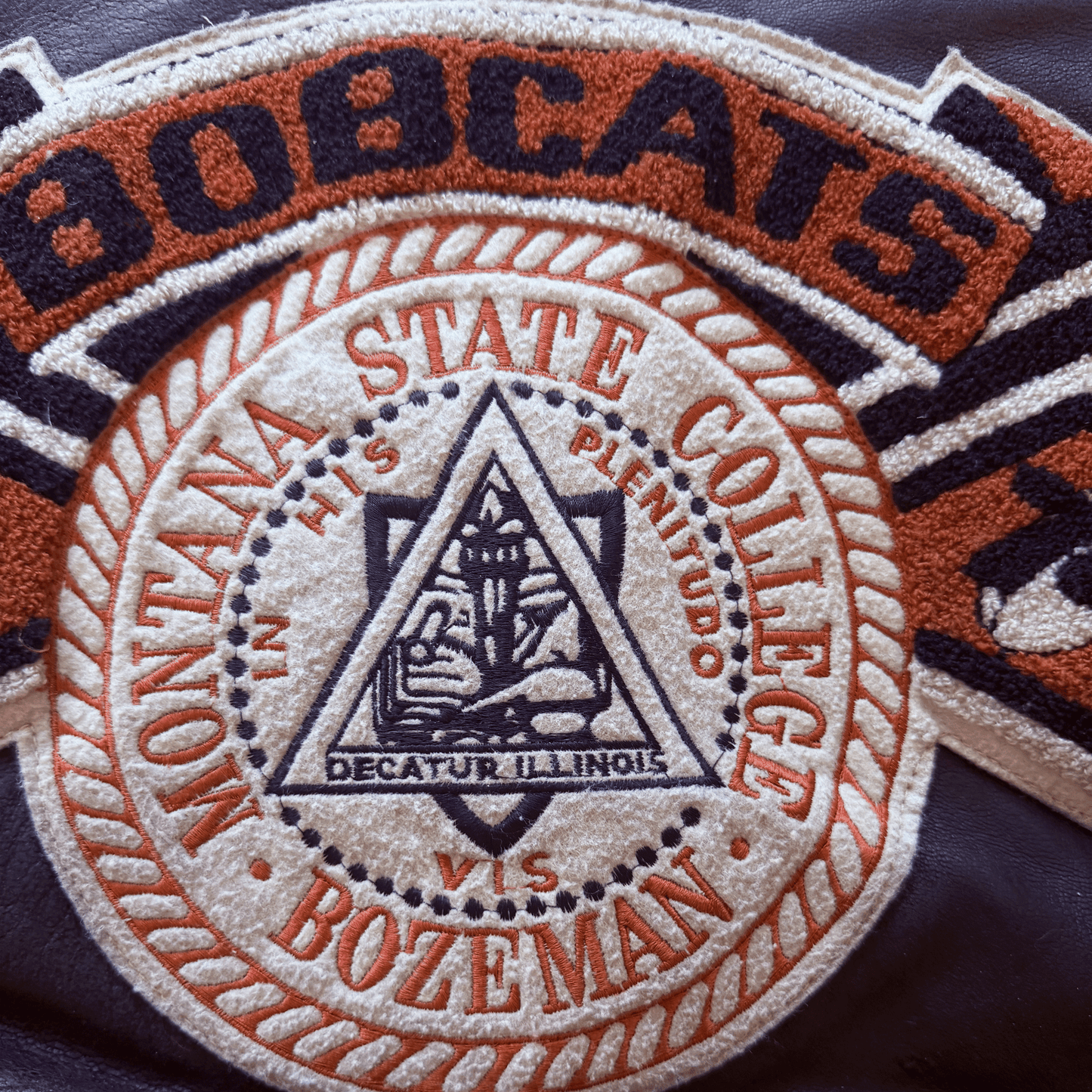 Avirex Bobcats Leather Varsity Jacket - S