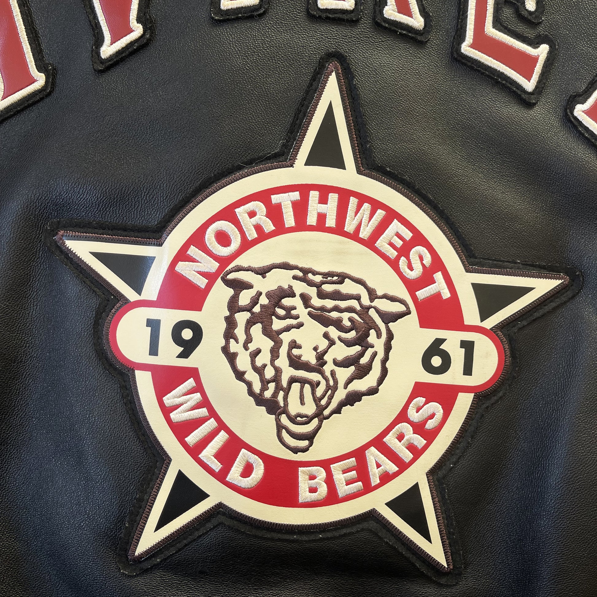 Avirex Wild Bears Leather Varsity Jacket 