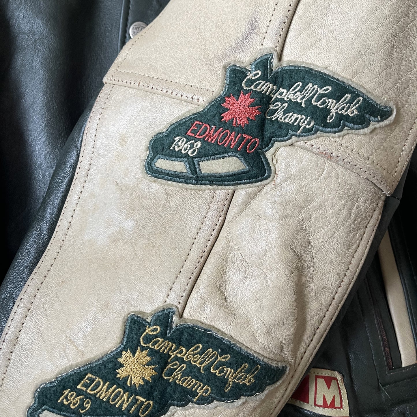 Avirex Wild Bears Leather Varsity Jacket - M