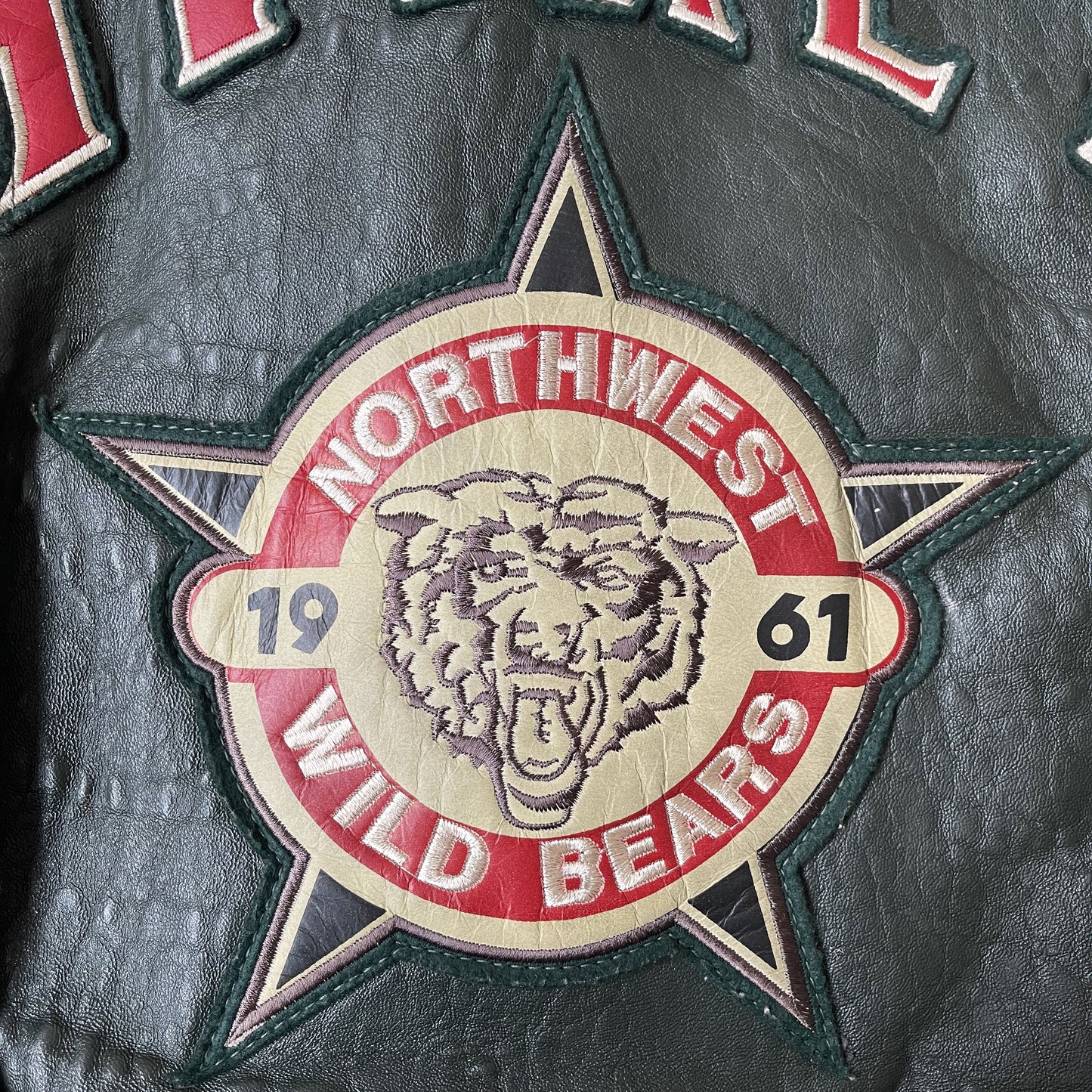 Avirex Wild Bears Leather Varsity Jacket - M
