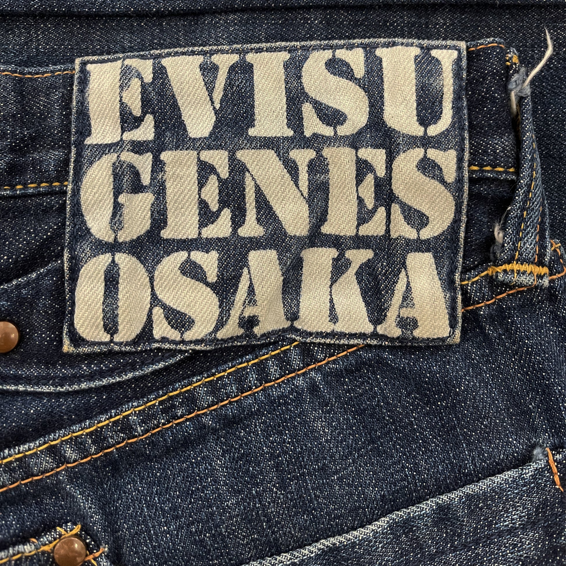 Evisu Carpenter Jeans