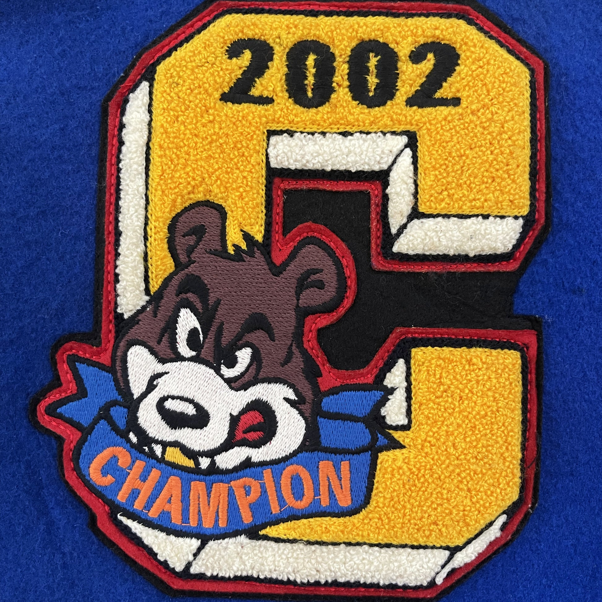 Champion Varsity Jacket